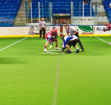 Rec-Turf Portable Turf